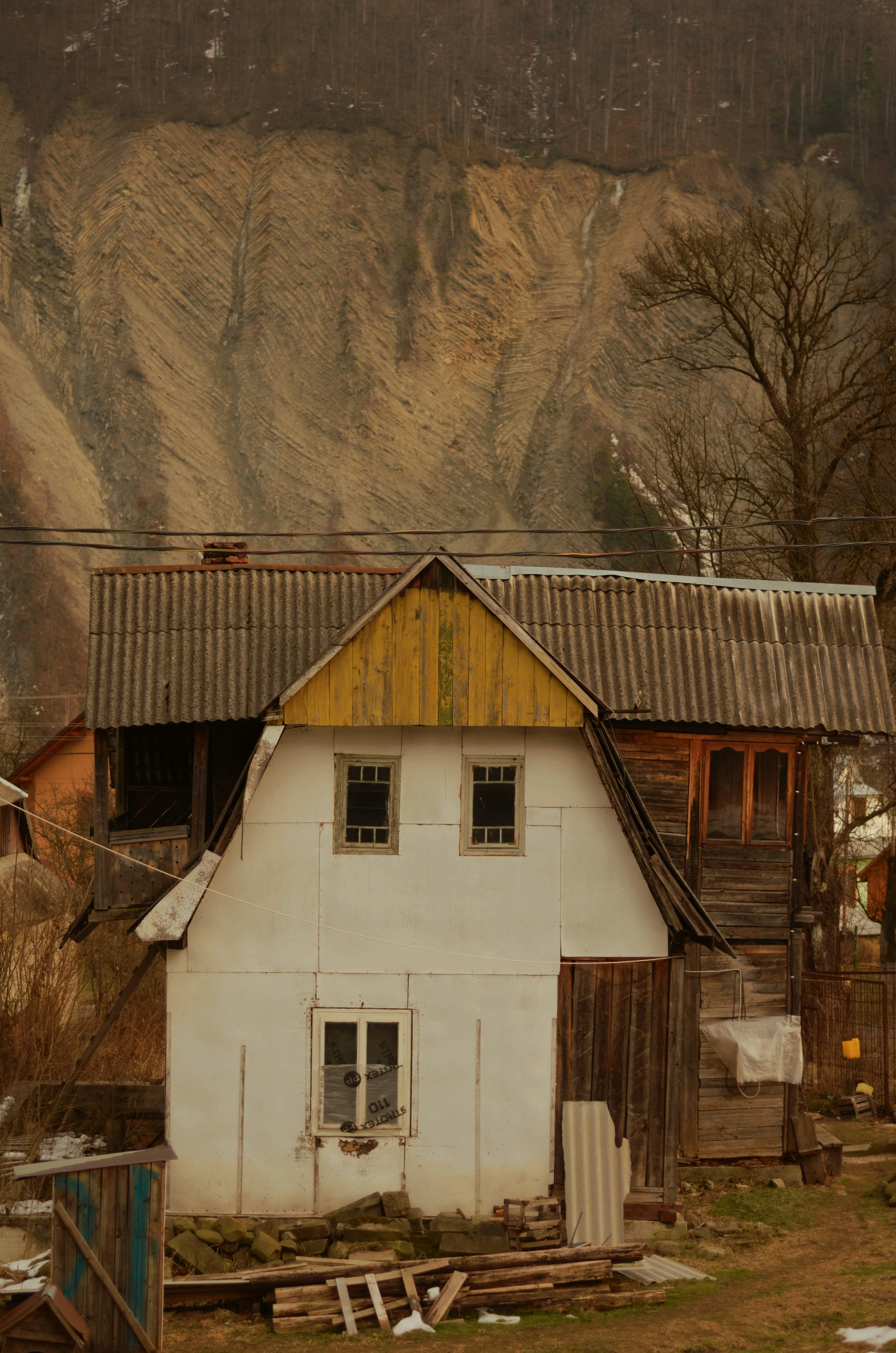 white and brown wooden house near brown trees during daytime